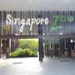Welcome to the Singapore Zoo