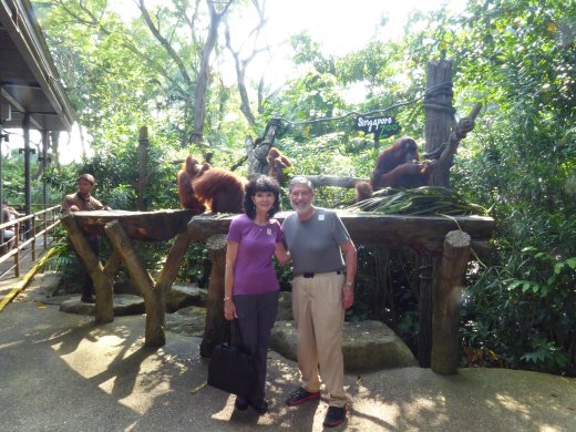 Breakfast with the Orangutans