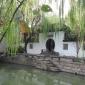 Tongli