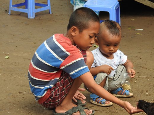 Chau Doc.Cham Village.Feeding Chickens