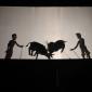 Shadow Puppet Show