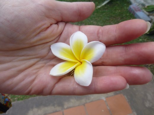 National Flower of Champa