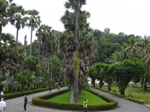 National Museum aka Royal Palace