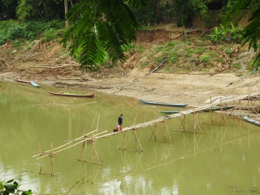 Bamboo Bridge