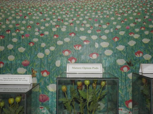 Opium Museum