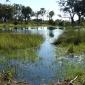 Okavango Delta