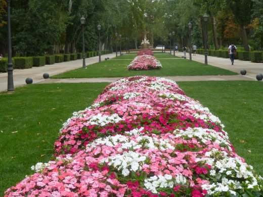 Entering Retiro Park