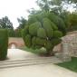 Topiary
