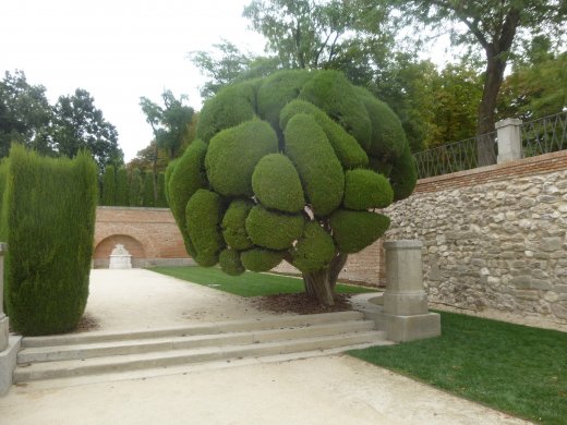 Topiary