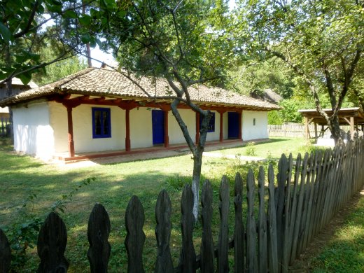 Stick & Plaster House