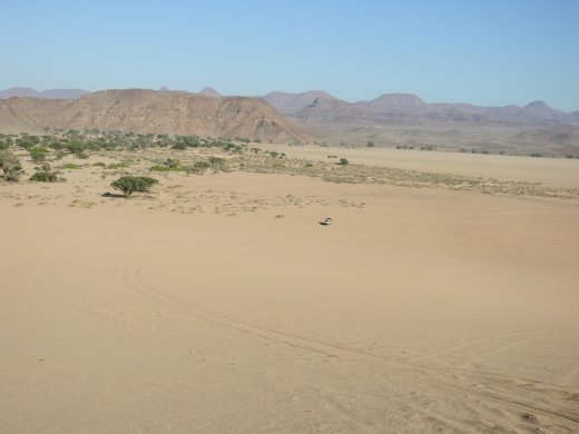 Jeep for Perspective