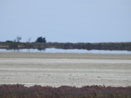 Etosha Pan.Mirage