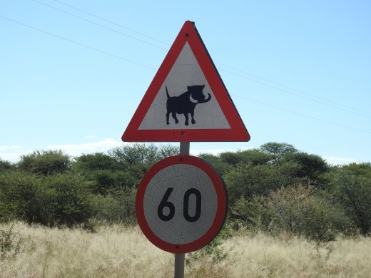 Okonjima Signage