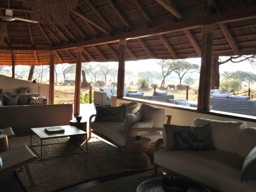 Main Area & Elephants