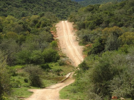 River Crossing near Nyathi