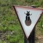 Dung Beetle Crossing