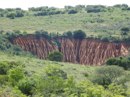 Interesting Landscape