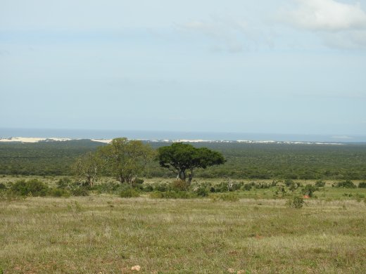 View of Sand Dunes & Sea