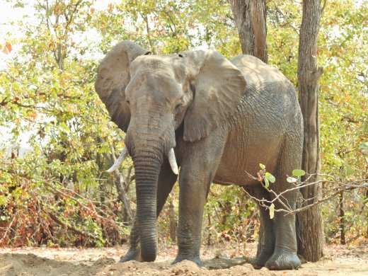 09.24.Ellie Encounter