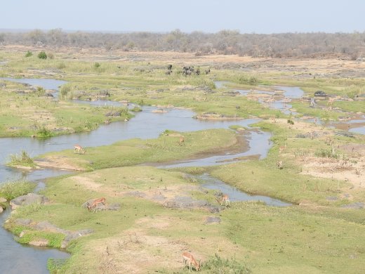 09.23.View from Olifants Bridge
