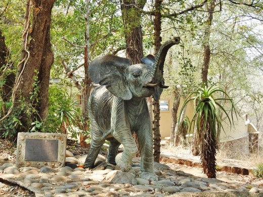 09.24.Olifants Ellie