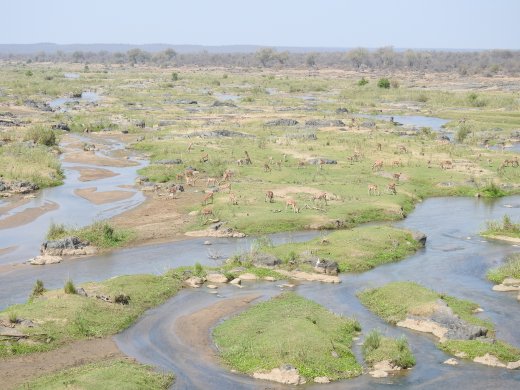 09.25.Olifants River looking West