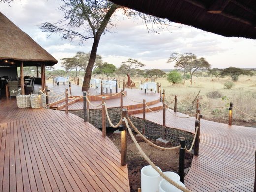 Dining Area - Tables Out