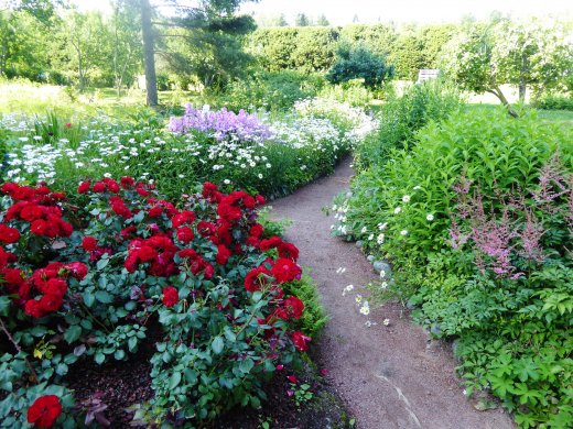 Gardens behind House