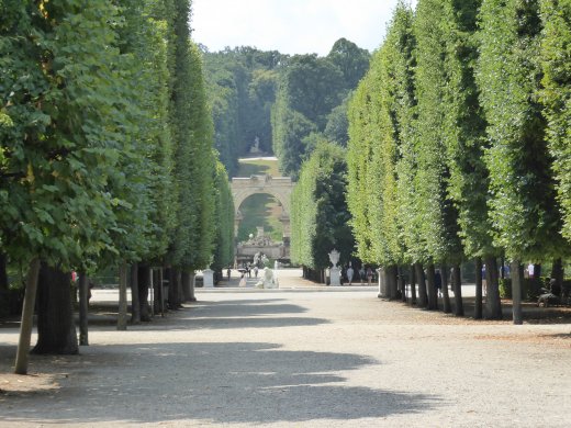 Tree-lined Walkway