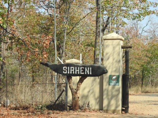 Sirheni