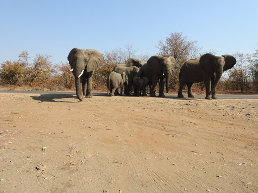 08.30.Ellies by the car