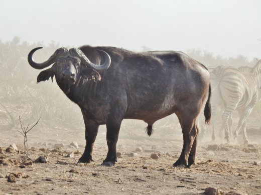 09.02.Boyela Waterhole