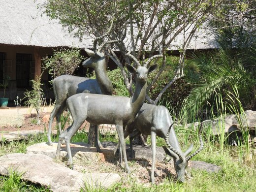 08.27.Skukuza Rest Camp