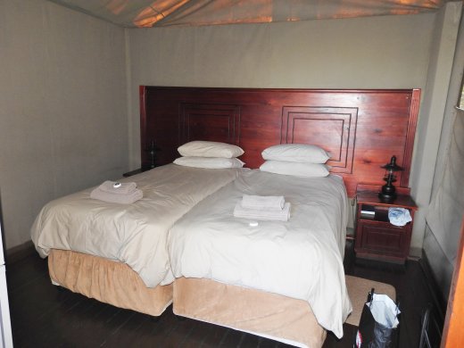 Our Safari Tent - Sleeping Area