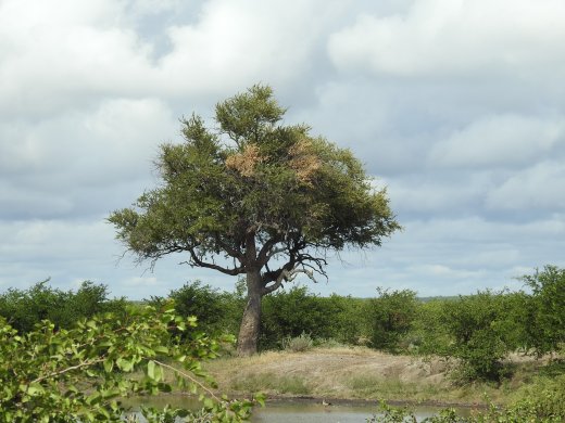  Klein Nshawu Scenery