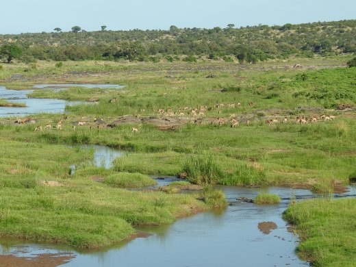 Views from the Olifants Bridge