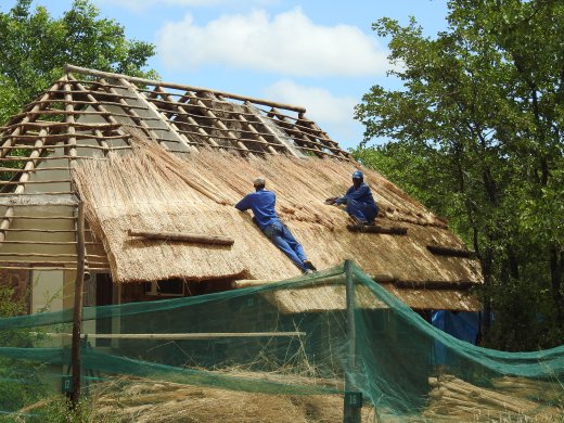 Thatch Repair