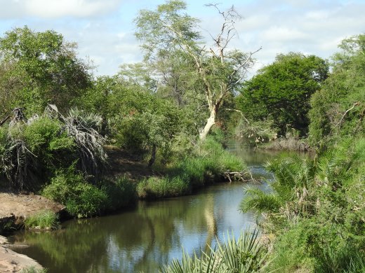 View from Nyawutzi Hide