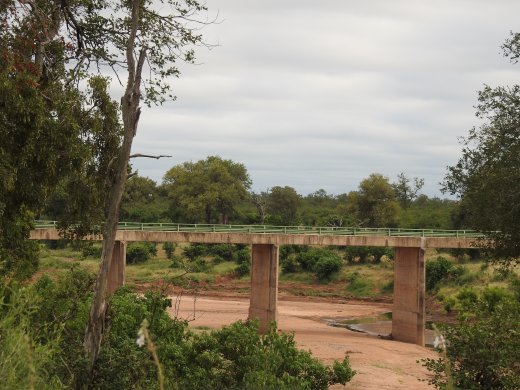 Bridge over Shingwedzi