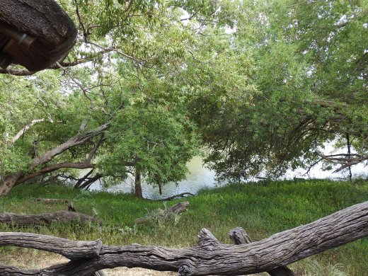 Our Abode - View of Marico River