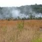 Volcanoes NP.Steam Vents