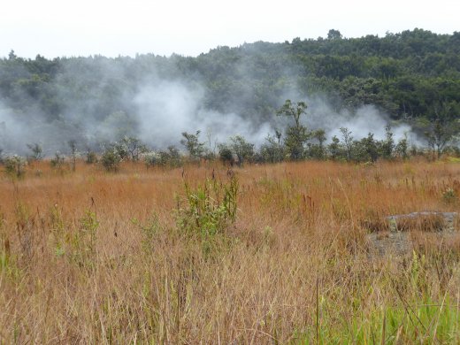 Volcanoes NP.Steam Vents