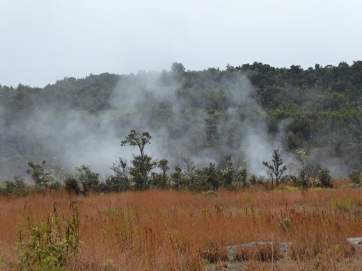 Volcanoes NP.Steam Vents