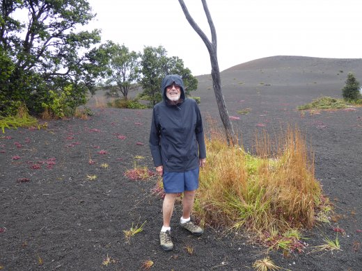 Volcanoes NP.Devastation Trail