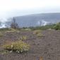 Volcanoes NP.Kilauea Caldera from Devastation Trail