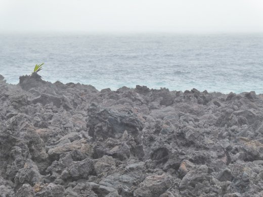 2018 Lava Flow Areas.Lava meets the ocean