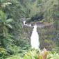 Akaka Falls