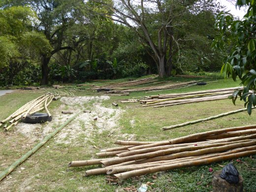 Marta Brea River - Bamboo Shipyard