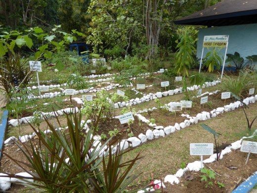 Marta Brea River - Ms. Martha's Herb Garden