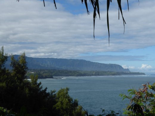 View north from Kilauea Point National Wildlife Refuge